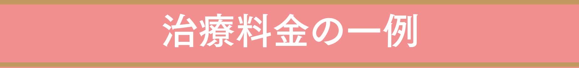治療料金の一例