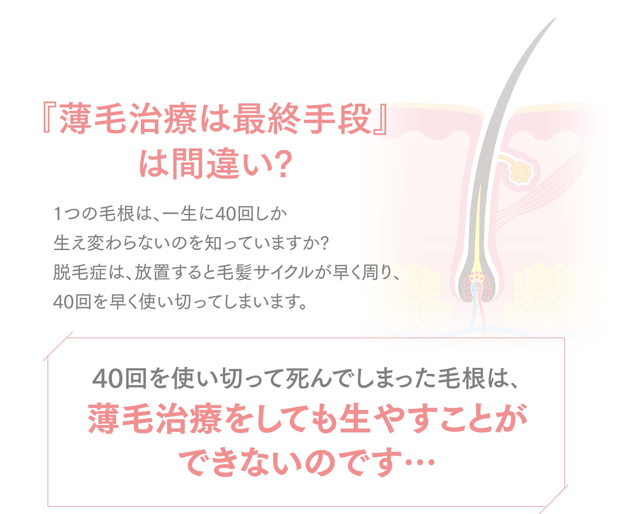 40回を使い切って死んでしまった毛根は､薄毛治療をしても生やすことができないのです…